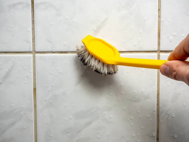 Best Emergency Mold Removal  in Leonard, TX