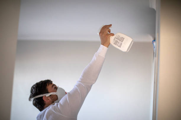 Trusted Leonard, TX Mold Removal Experts