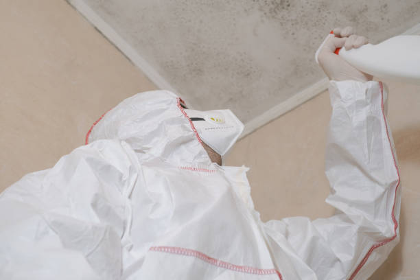 Best Commercial Mold Removal  in Leonard, TX