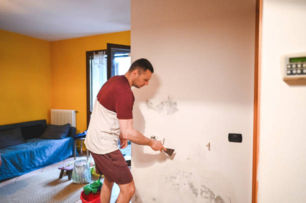 Best Mold Removal Near Me  in Leonard, TX