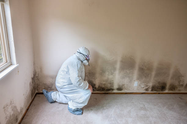 Best Mold Testing  in Leonard, TX
